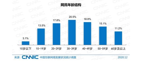 网络安全 护航互联网健康发展的关键基石与严峻挑战